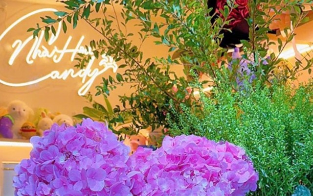 Nhà Hoa Candy - Hoa Tươi - Lê Văn Sỹ