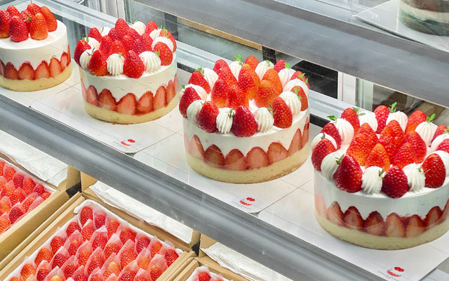Strawberry 케이크 - Bánh Kem Dâu Tây - Phan Xích Long