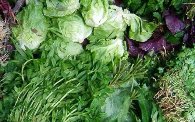 THÚY NGA - Thịt Heo, Gà & Rau Củ Quả - TPHCM