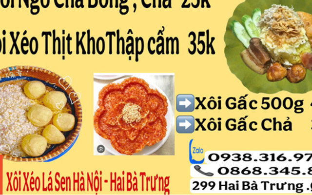 Xôi Xéo Lá Sen Hà Nội - Hai Bà Trưng