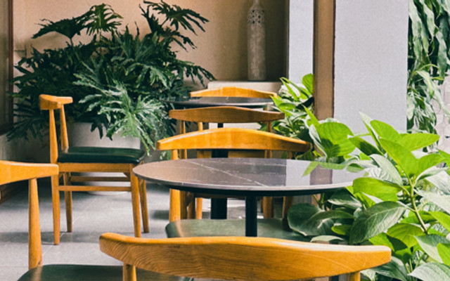 MiHa Coffee - Tô Hiệu