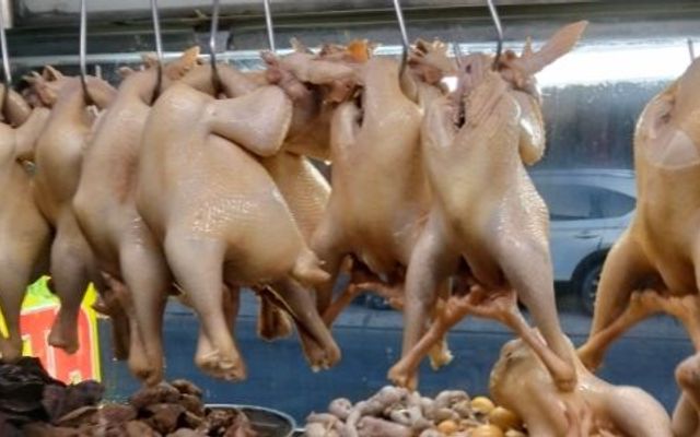 Gà Ta Thuỷ Trinh Ngon Sạch - Nguyễn Văn Quá