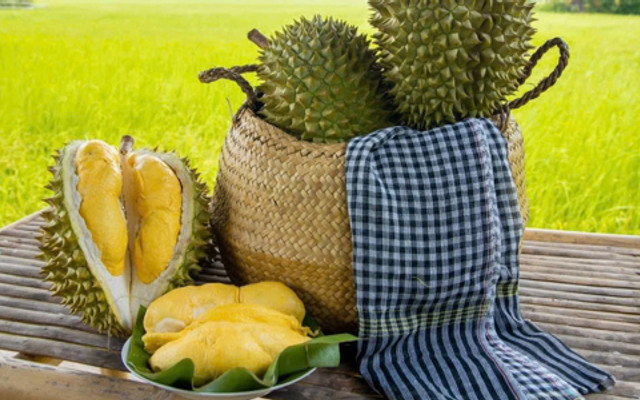 Sầu Riêng Biên Hoà - Sầu Riêng Thái & Ri6 Ngon