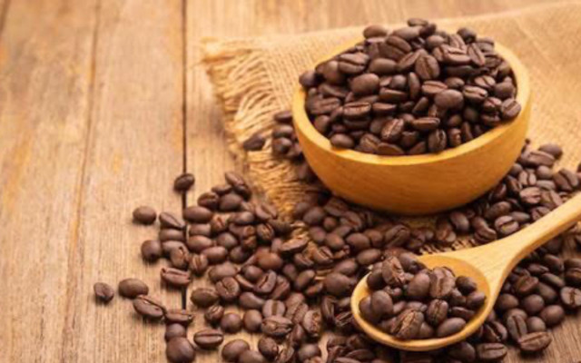 Vỉa Cà Phê - Hoàng Ngọc Phách