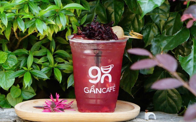Gần Café - 84 Hồ Tùng Mậu