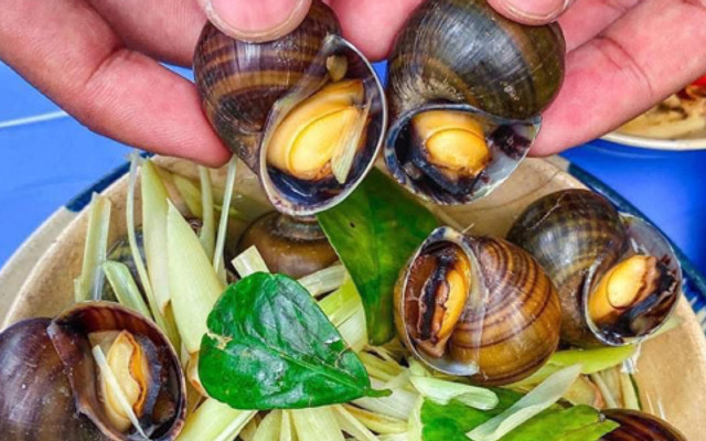 Ốc Hồng Bo - Bắc Giang