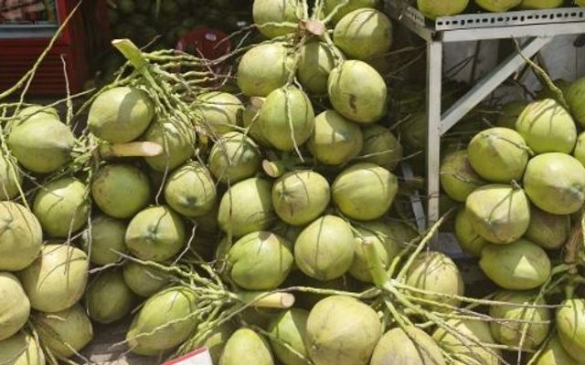 Dừa Tươi Thiện Anh - Lũy Bán Bích