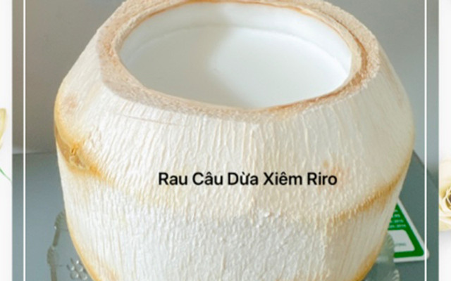 COCONUT RIRO - Nguyễn Thế Lộc