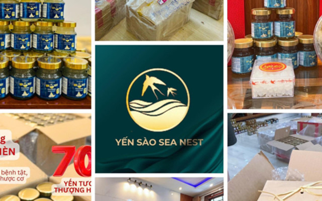 Yến Sào Sea Nest - Lý Triện
