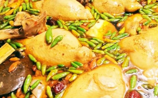 8 Loan Quán - Gà Tiềm Ớt Hiểm