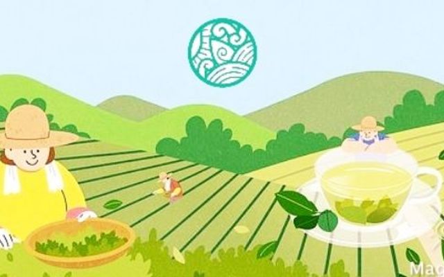 Trà Đông Đỉnh - Đường 7B