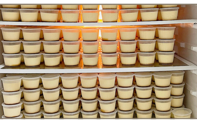 Bánh Flan - Căn Tin Bibi