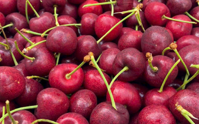 Cửa Hàng Trái Cây Sạch Bốn Mùa - Cống Quỳnh