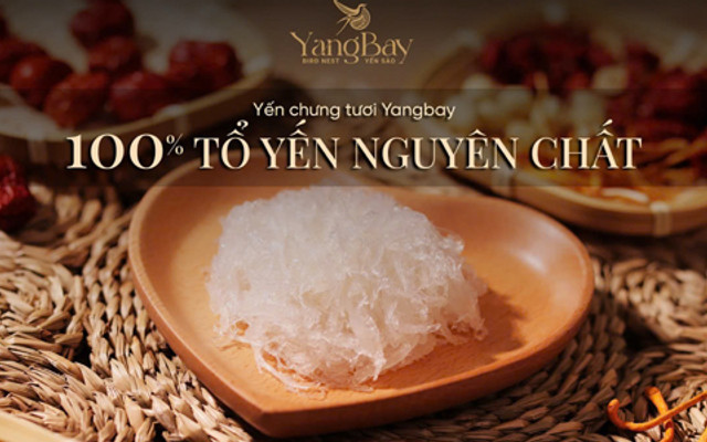 Yến Chưng Tươi Yang Bay - 100% Yến -  5B Phổ Quang