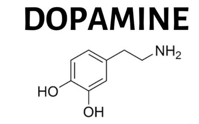 Bếp Chay Dopamine - Lũy Bán Bích