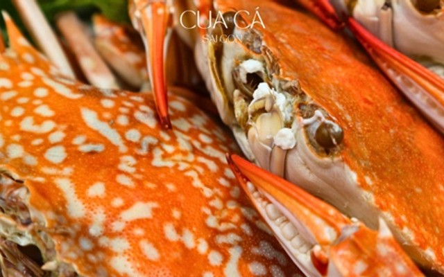 Cua Cá Sài Gòn - Hải Sản Tươi Sống - Đường Số 59