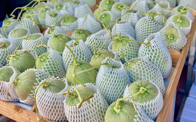 Nông Trại Sạch Cần Thơ - Dưa Lưới - Võ Văn Kiệt