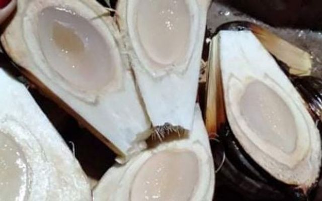 Toàn Dừa - Dừa Tắc & Dừa Nước - Nguyễn Duy Dương