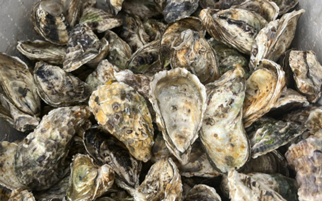 Quán Gà Nướng, Hào Hấp & Hào Nướng - 566 Lê Trọng Tấn