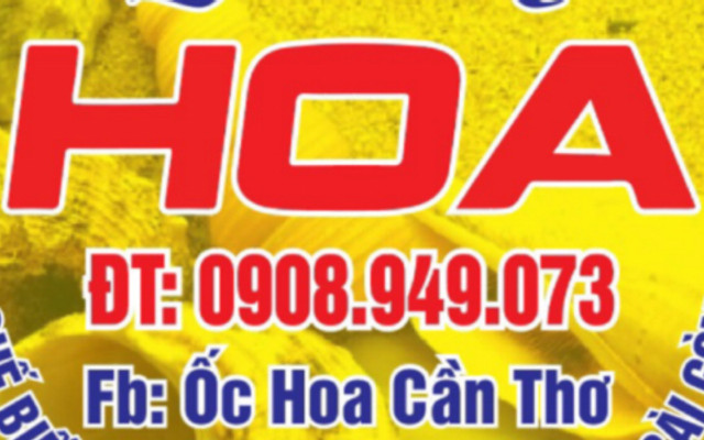 Quán Ốc Hoa