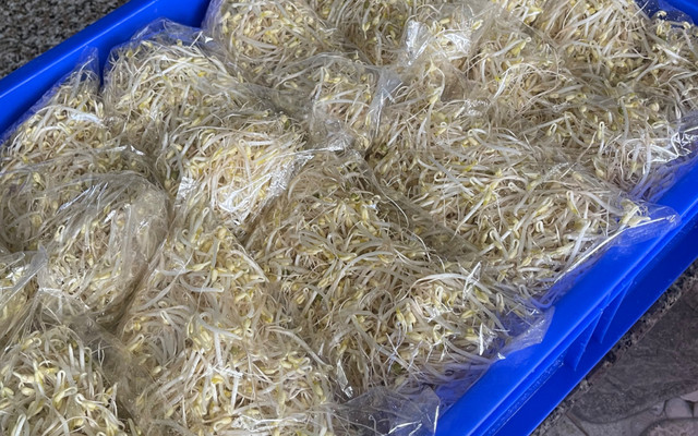 KHUÔN ĐẬU TƯƠI - AN BÌNH