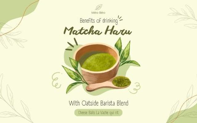 Mèo Béo - Latte & Trà - 247A Miếu Bình Đông