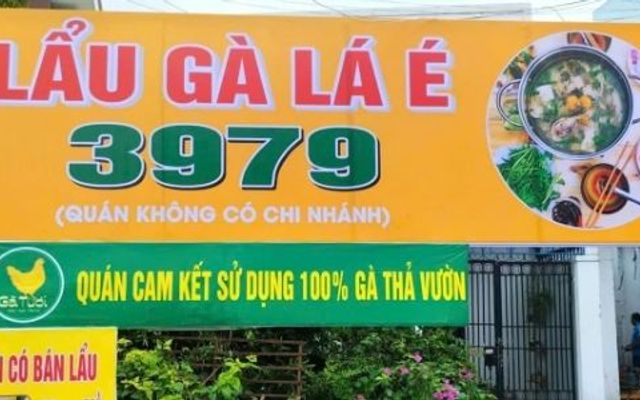 Lẩu Gà Lá É 3979