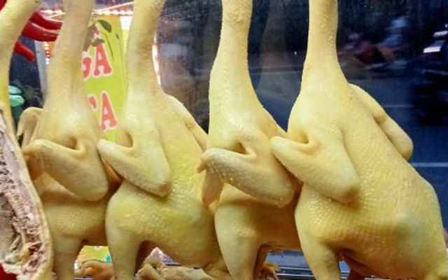 Cơm Gà Tam Kỳ Thanh Nhã - Lê Văn Chí