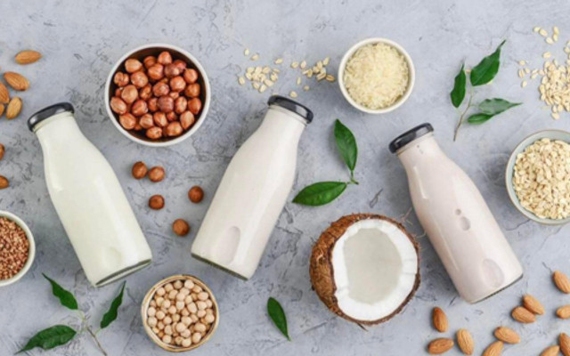 Đậu Đậu Quán - Nguyễn Sỹ Sách