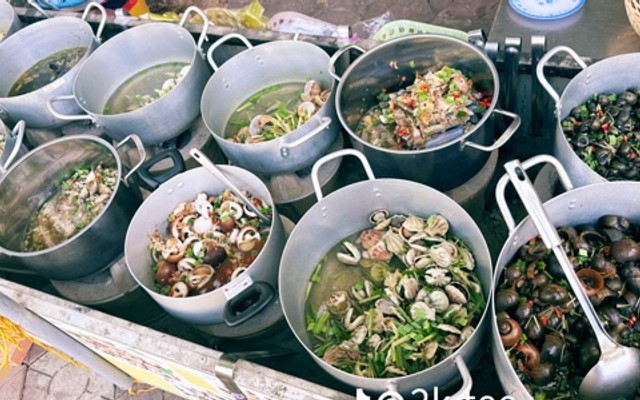 Ốc Biển Hai Lan - Lê Thanh Nghị