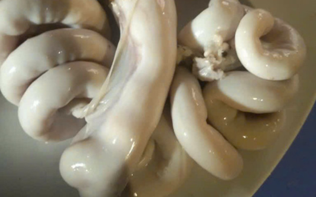 Cháo Đêm Đồng Khởi - Đĩa Lòng, Hột Vịt Lộn & Cháo Lòng