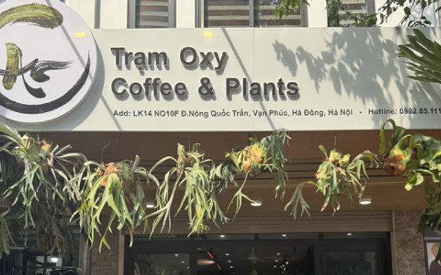 AN COFFEE & PLANT
