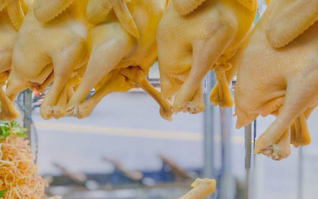 Gà Ta Tam Kỳ - Phạm Hùng