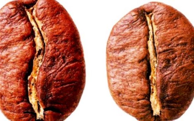 Cà Phê & Võ Thuật – 172 Phú Thượng