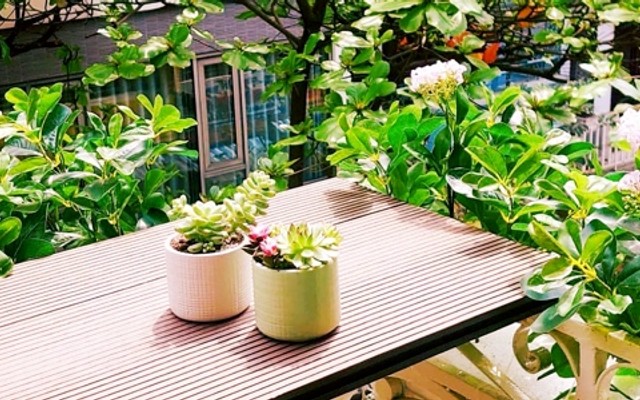 Nhà Chay Soy - 20 Nguyễn Thiếp