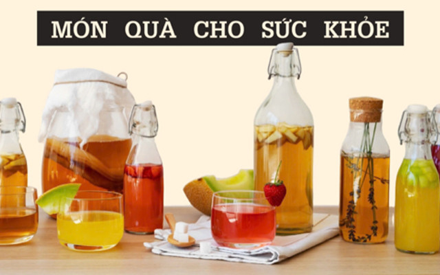 Scobylee - Trà Kombucha - Vạn Phúc
