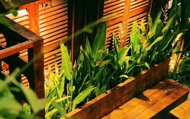 ULAME - Võ Văn Vân