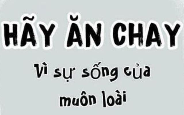 Quán Chay 334 - Hủ Tíu & Cơm Chay - Nguyễn Thị Thập