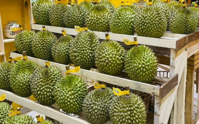 Lâm Sầu Riêng Ngon Sài Gòn - 668 Nguyễn Xiển