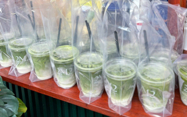2M2 - Coffee Matcha - 147 Hai Bà Trưng