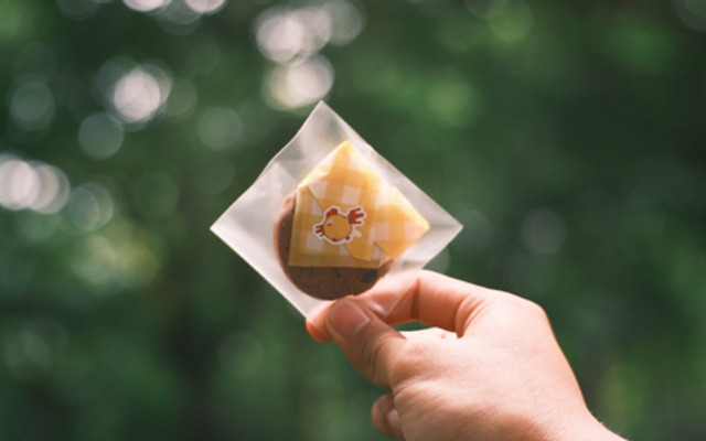 Ỏn Ỏn - Sữa Bò, Cà Phê & Matcha - Dương Tử Giang