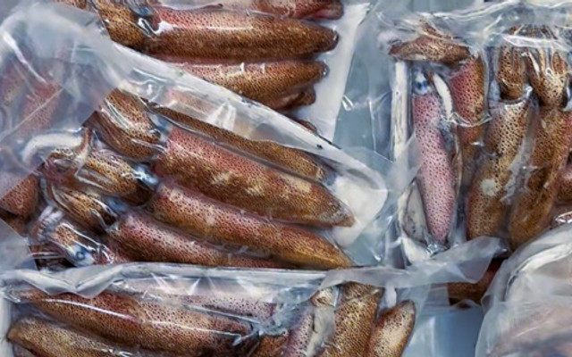 Hải Sản Quảng Ninh - Mực Câu Vip