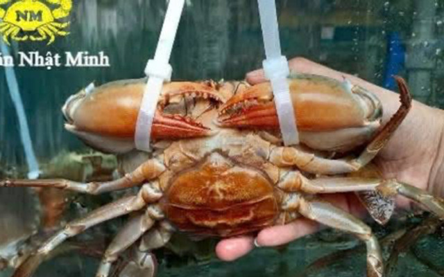 Nhật Minh - Hải Sản - Tân Kỳ Tân Quý