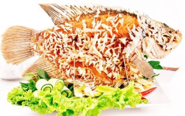 Cá Tai Tượng Chiên Xù - Phan Văn Hớn