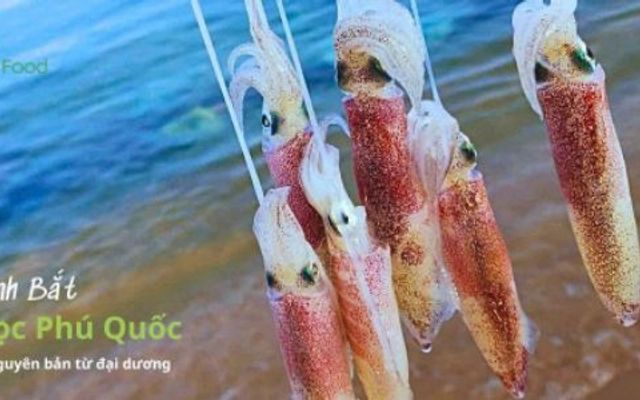 Khô Mực Phú Quốc - Oseafood
