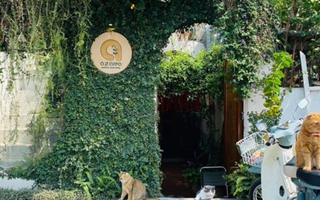 Azalea Coffee - Huỳnh Thúc Kháng