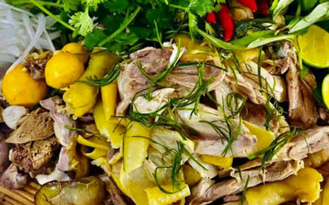 Gà Ta Tam Kỳ Diệp Thu - Nguyễn Văn Tăng