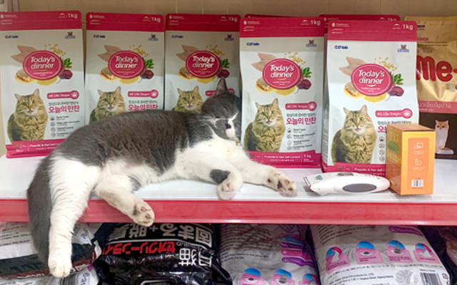 Chico Pet Shop Đồ Ăn Cho Thú Cưng - Chuyên Hạt Và Đồ Ăn Cho Cún Mèo - Lĩnh Nam