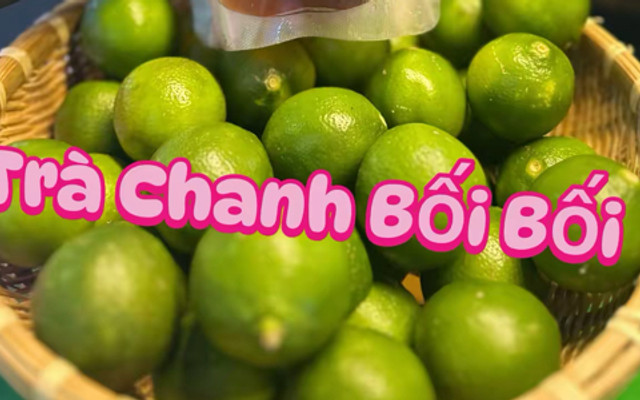 BỐI BỐI - TRÀ CHANH - Lê Đức Thọ