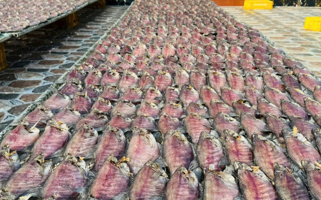 Tiệm Khô Như Quỳnh - Hải Sản Khô - Cái Răng